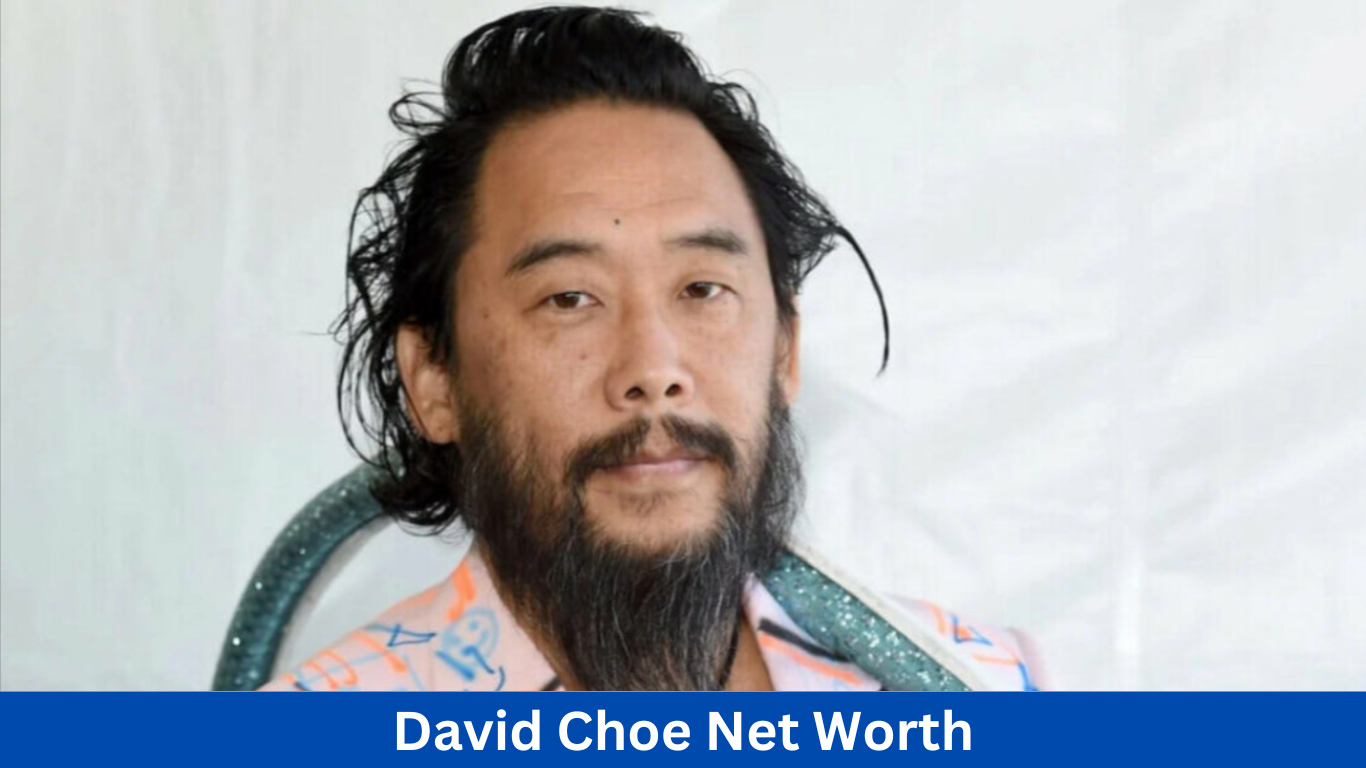 David Choe Net Worth