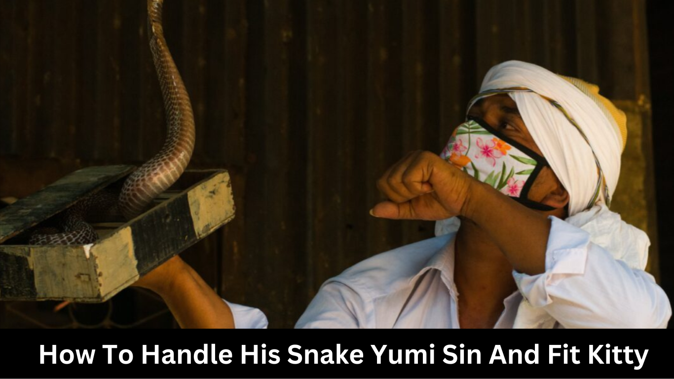 How To Handle His Snake Yumi Sin And Fit Kitty